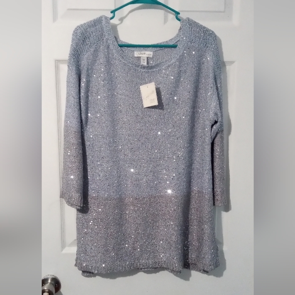 Jaclyn Smith Glittering Gray Sweater